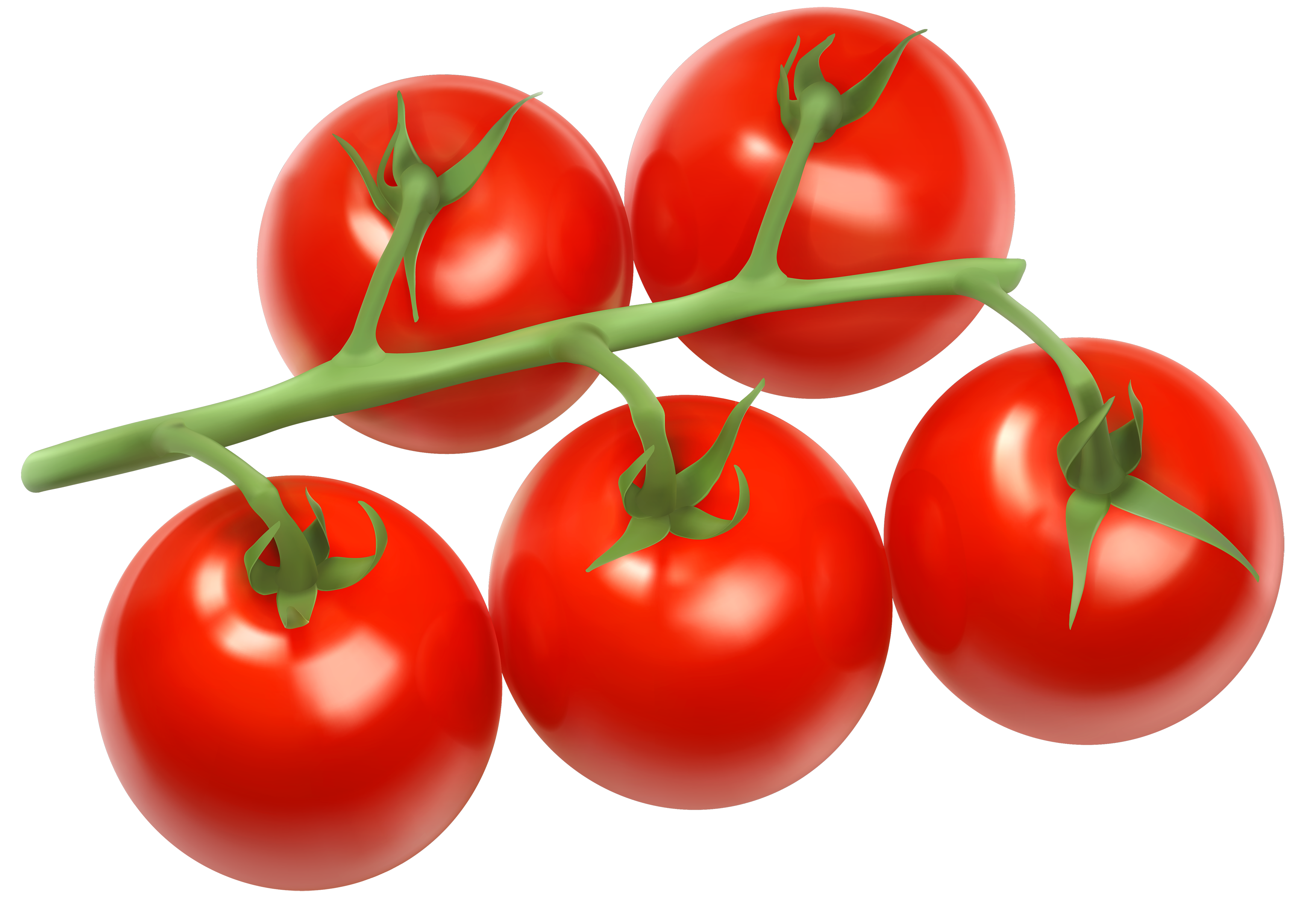 Tomatoes Branch PNG Clipart.