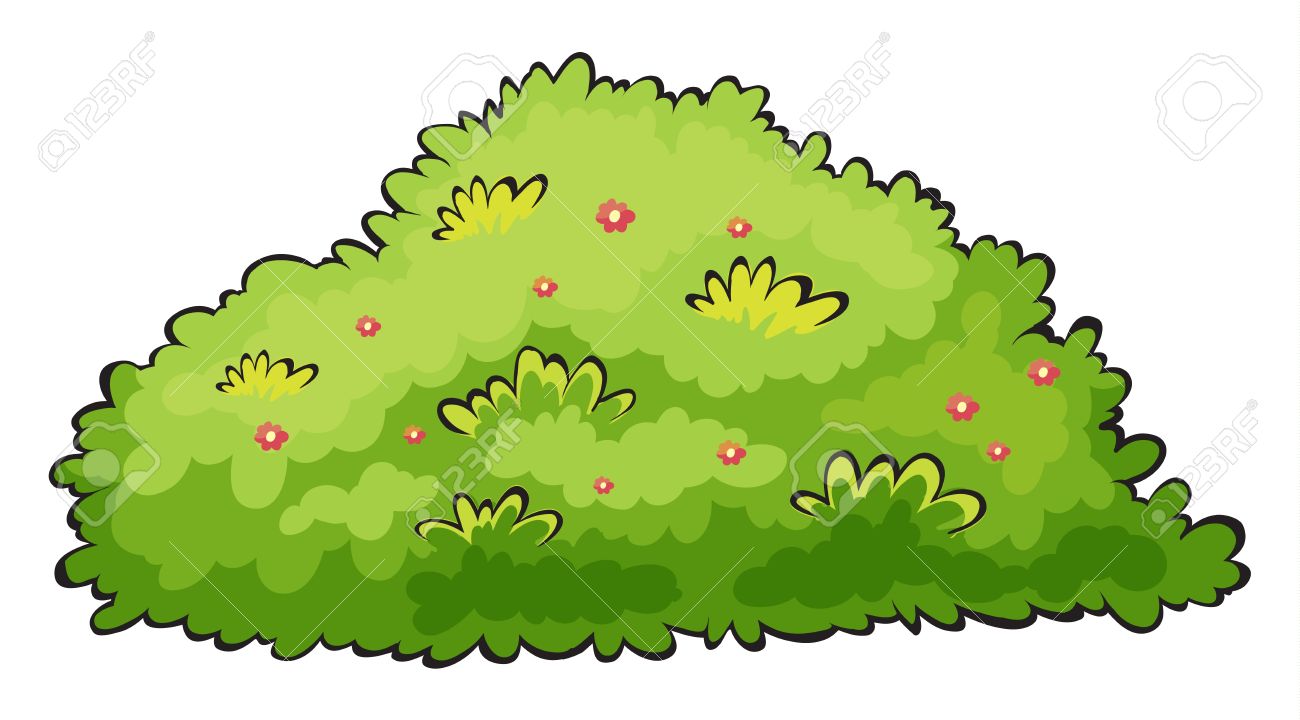 Illustration Of A Green Bush On A White Background Royalty Free.