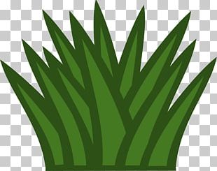 Bush Cliparts PNG Images, Bush Cliparts Clipart Free Download.