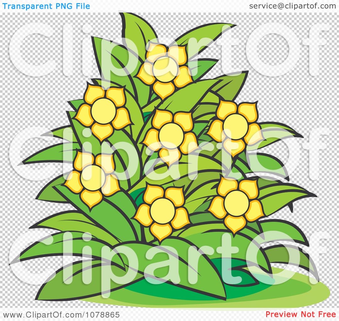 Clipart Bush With Yellow Flowers 2.