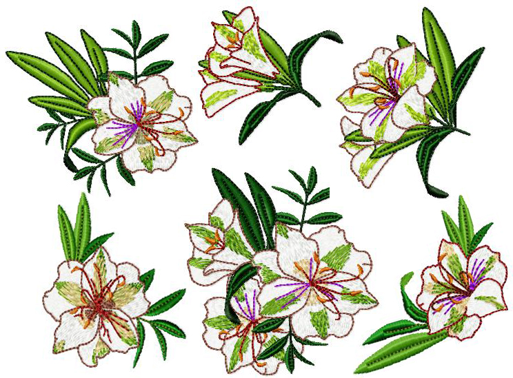 Bush Lilies 4x4.