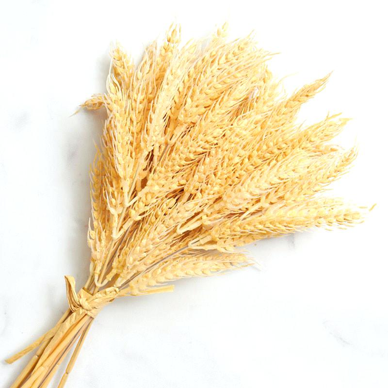 Grain clipart bushel wheat, Grain bushel wheat Transparent.