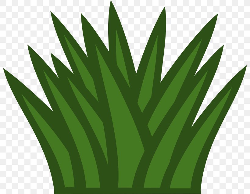 Shrub Tree Clip Art, PNG, 800x636px, Shrub, Bush, Cartoon.