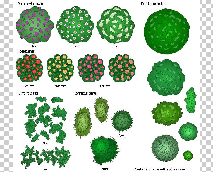 Landscape Design Landscape Architecture Shrub PNG, Clipart.