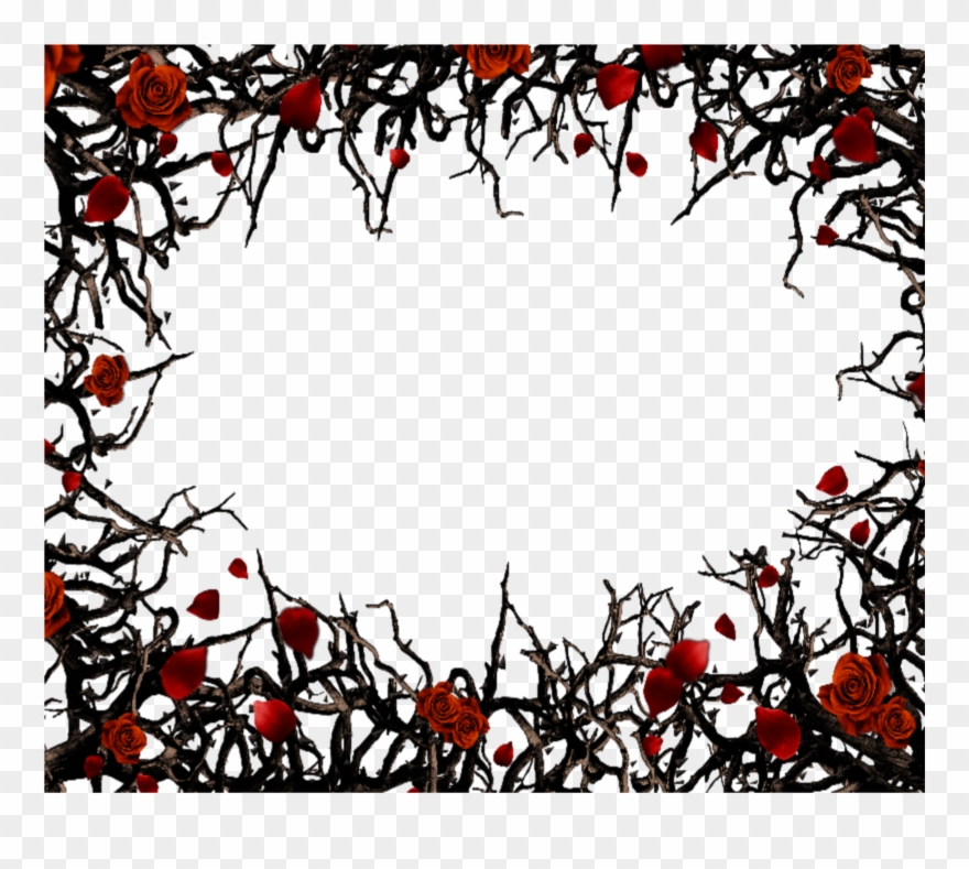 Mq Red Black Roses Gothic Frame Frames Border Borders.