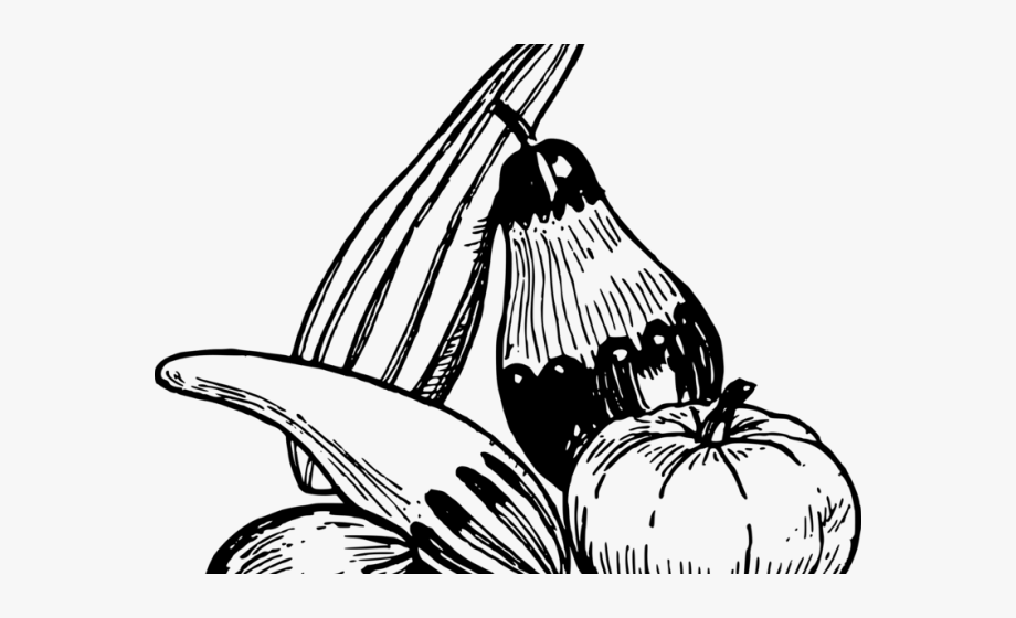 Zucchini Clipart Gourd.