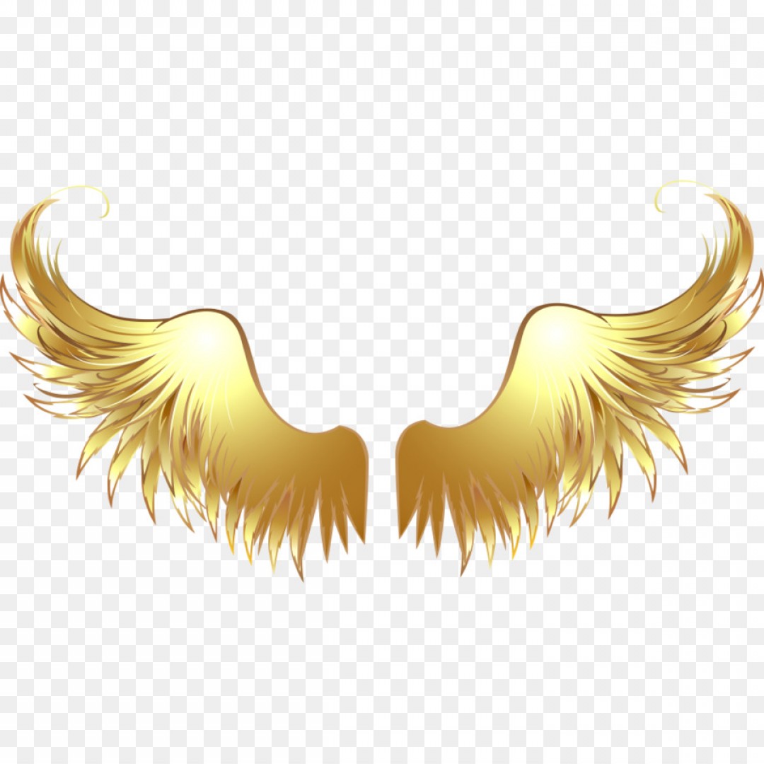 Png Drawing Clip Art Angel Wings Material.