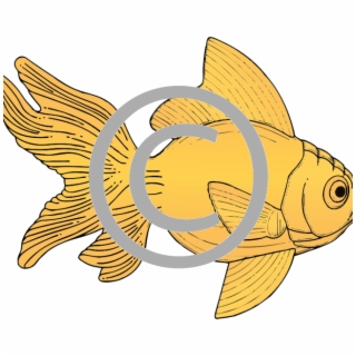 Gold Fish PNG Images.