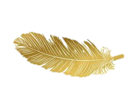 gold feather feathers native boho pretty decals decor.