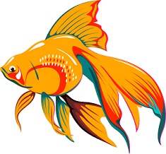 Free Goldfish Clipart.