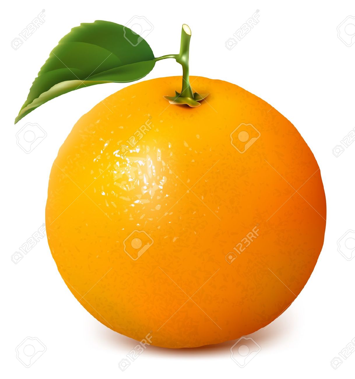 Best Orange Clipart #13374.