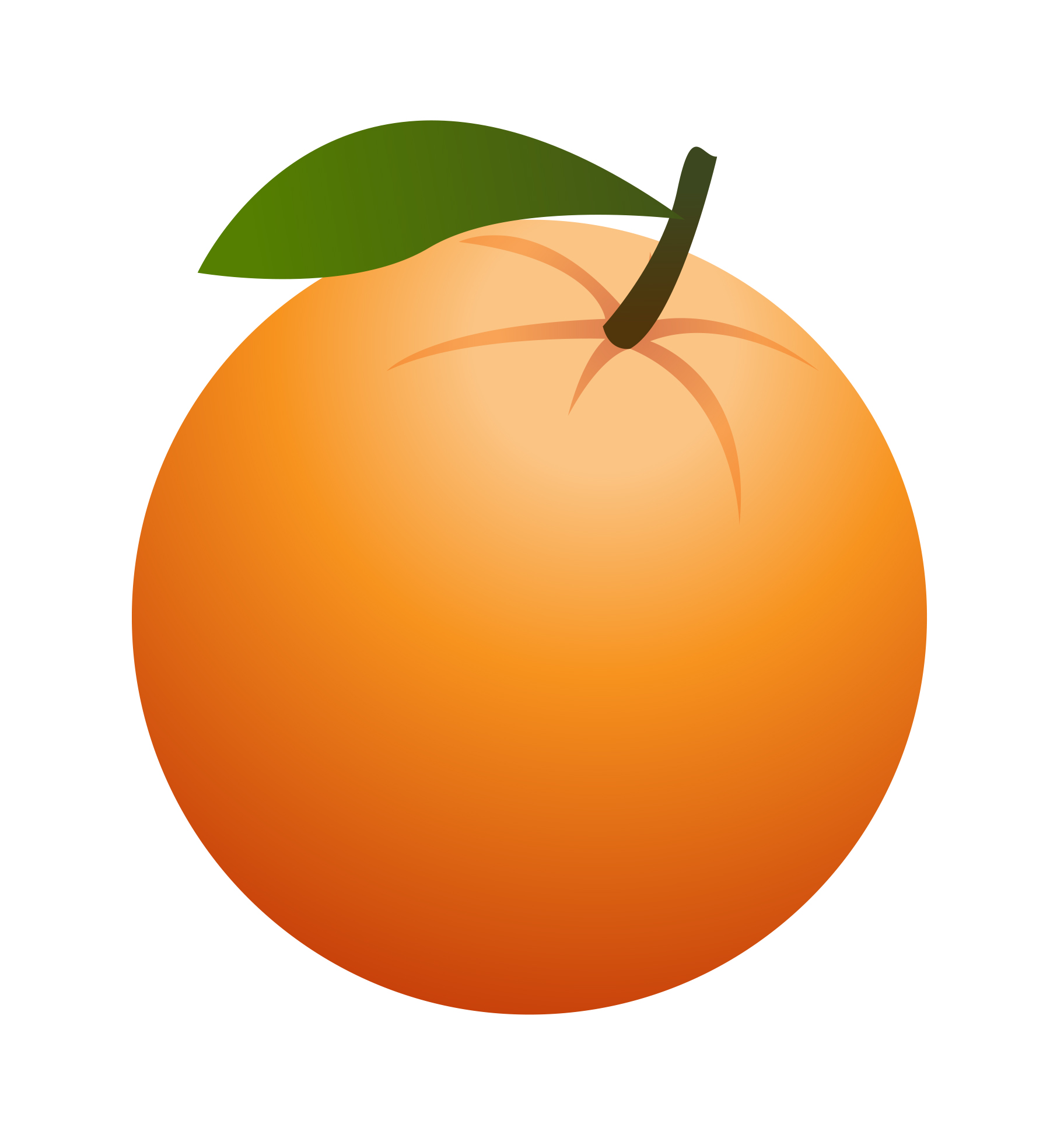 Orange Clipart.