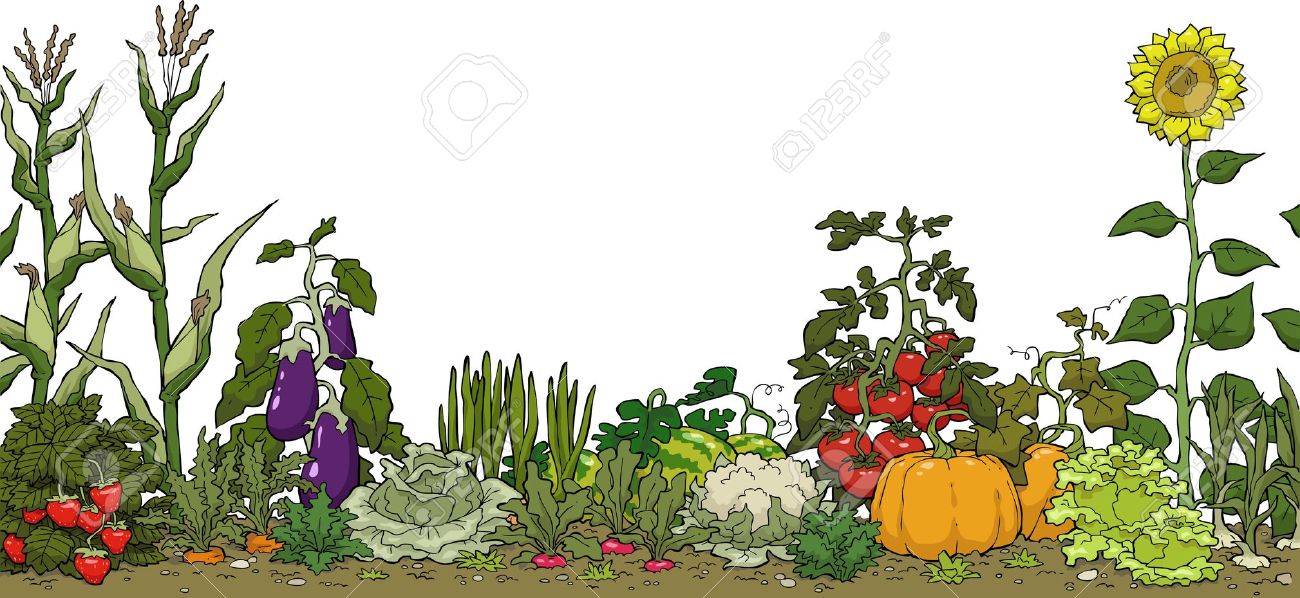 garden bed clipart : Garden.xcyyxh.com.