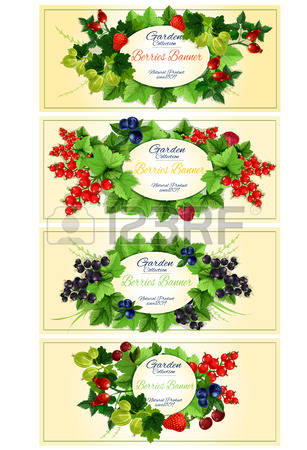 1,860 Red Currant Cliparts, Stock Vector And Royalty Free Red.