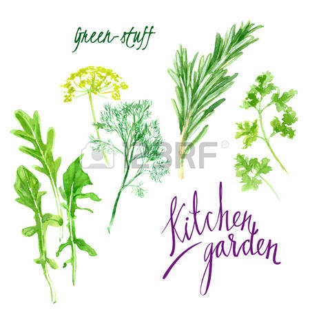 477 Cilantro Cliparts, Stock Vector And Royalty Free Cilantro.