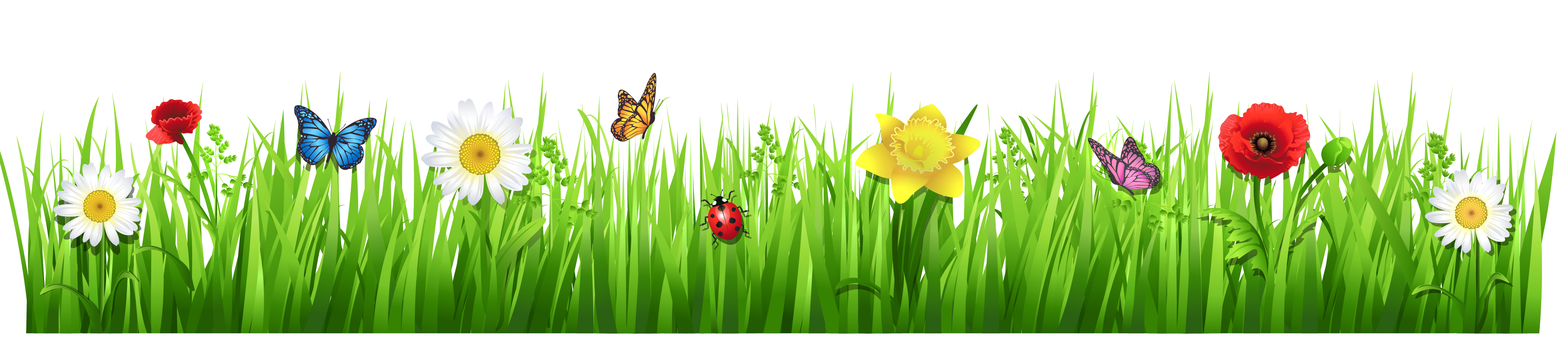 Flower Garden Clipart Png.