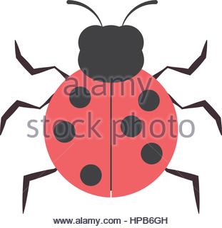 Leaf Beetle And Ant Stock Photo, Royalty Free Image: 131152823.