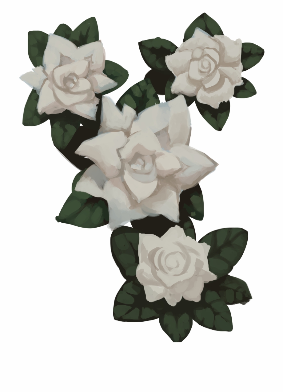 Transparent Flowers Gardenia.