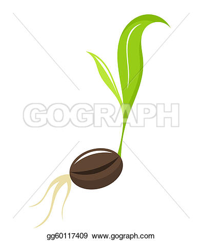 Plant Seeds Clip Art.