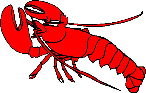 Lobster clipart vector.