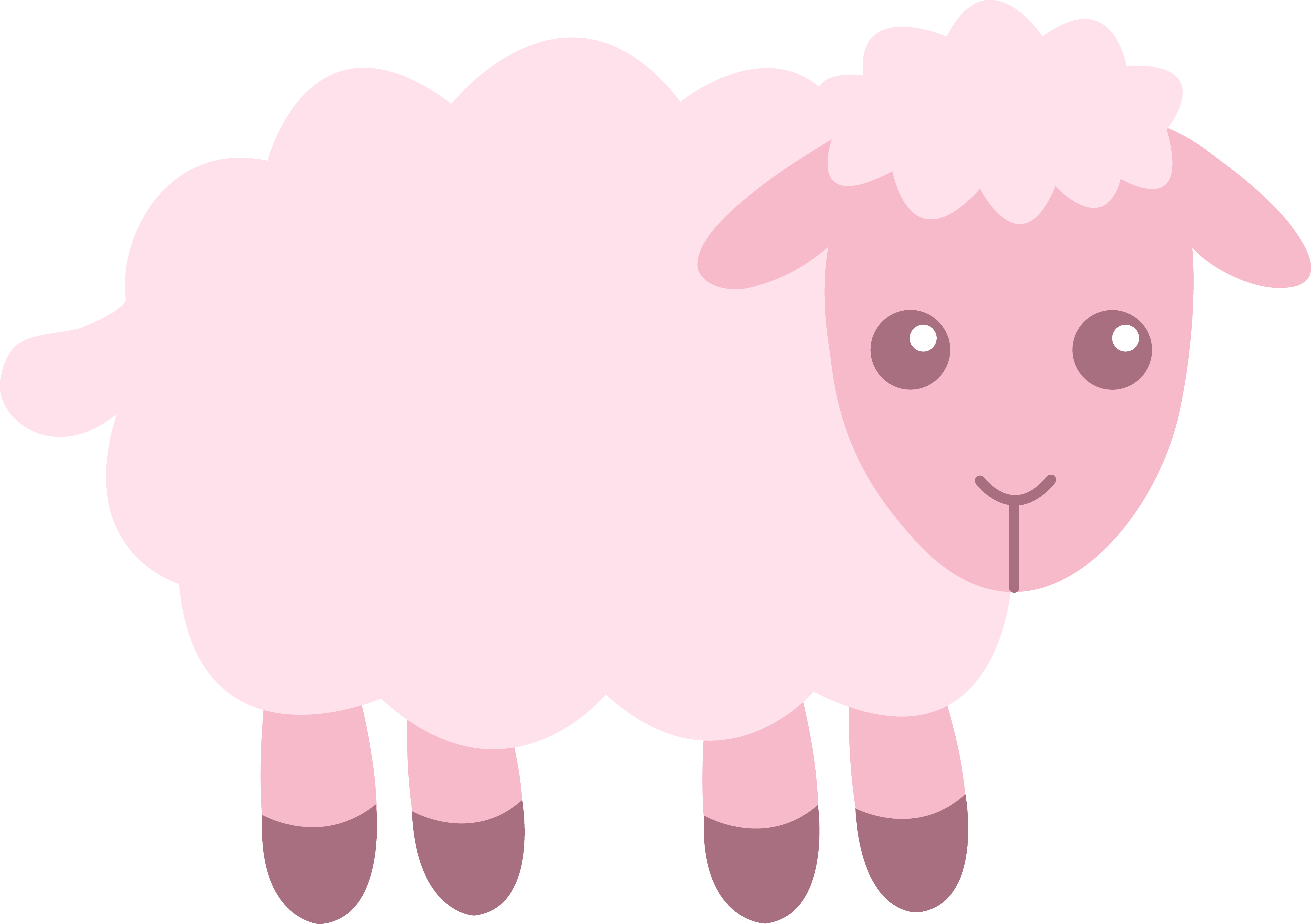 Lamb Image.