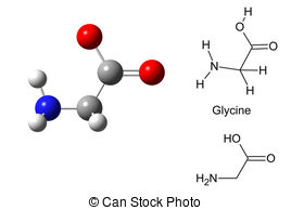 Glycine Illustrations and Stock Art. 121 Glycine illustration.