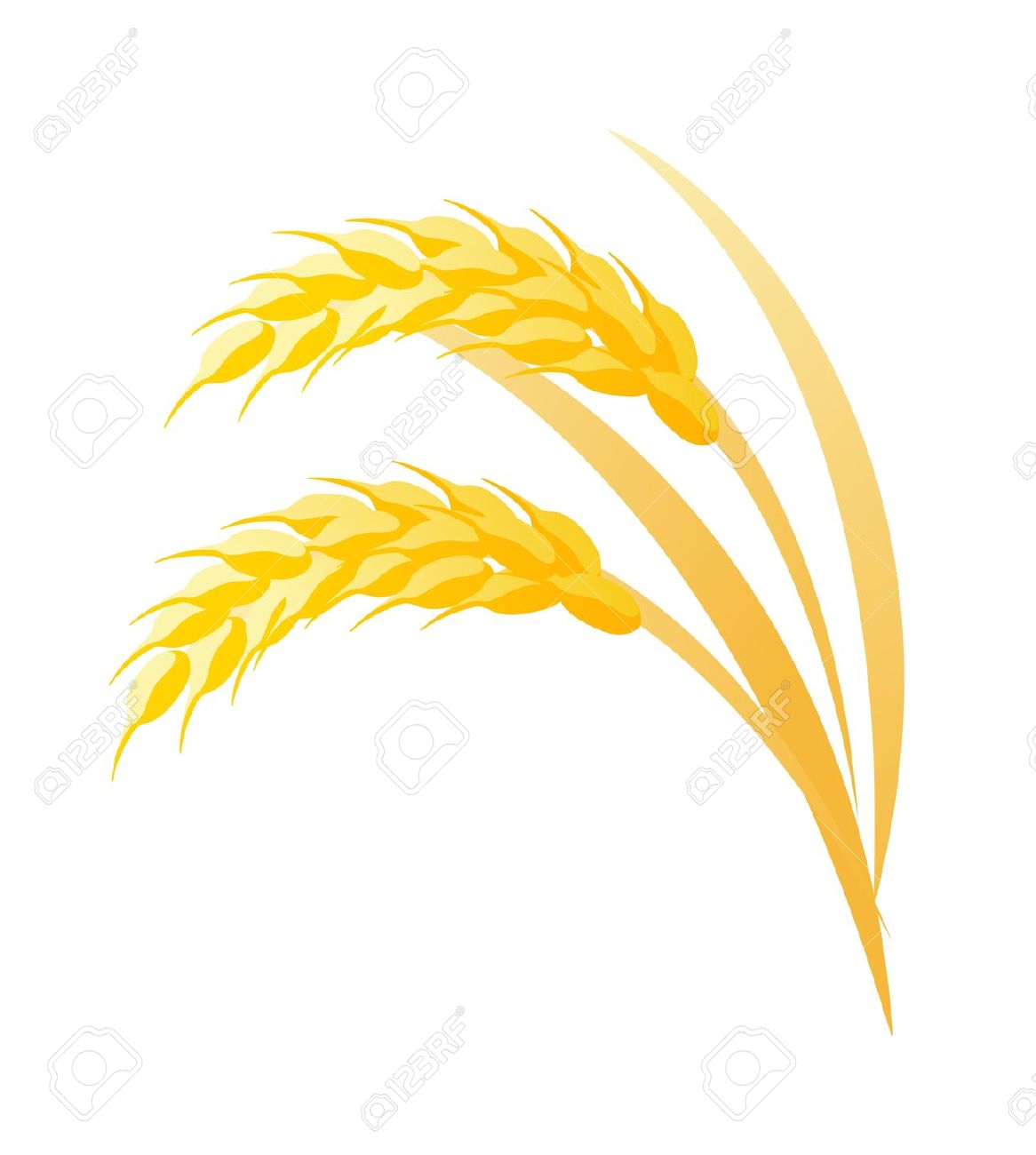 Clipart rice grains.