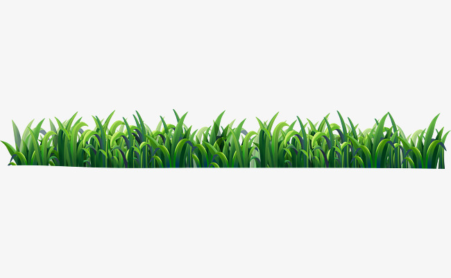 Small Fresh Green Grass, Green Vector, Grass Vector, Grassland PNG.