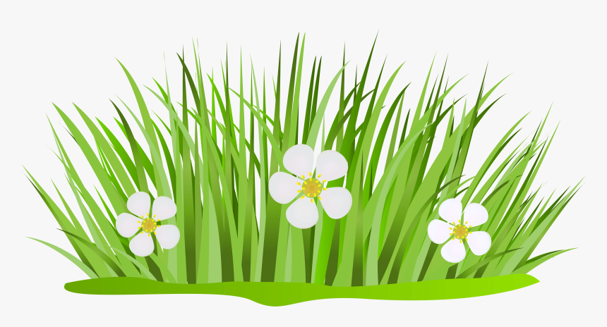 Grass Patch With Flowers Png Clip Art Image.