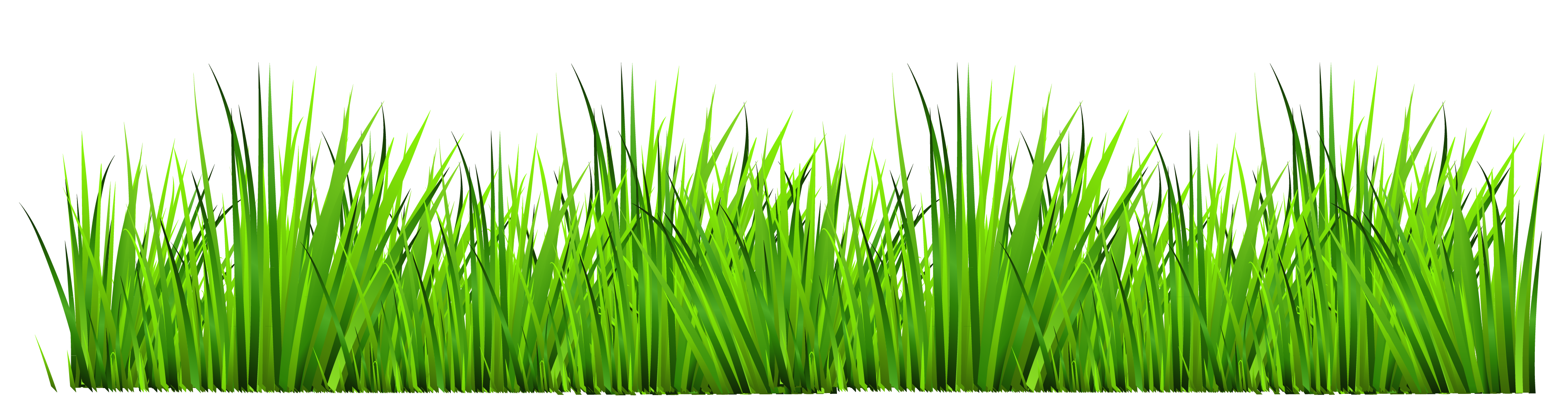 Grass Png Clipart.