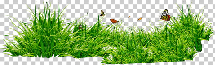 Grass Patch With Insects, green plant PNG clipart.