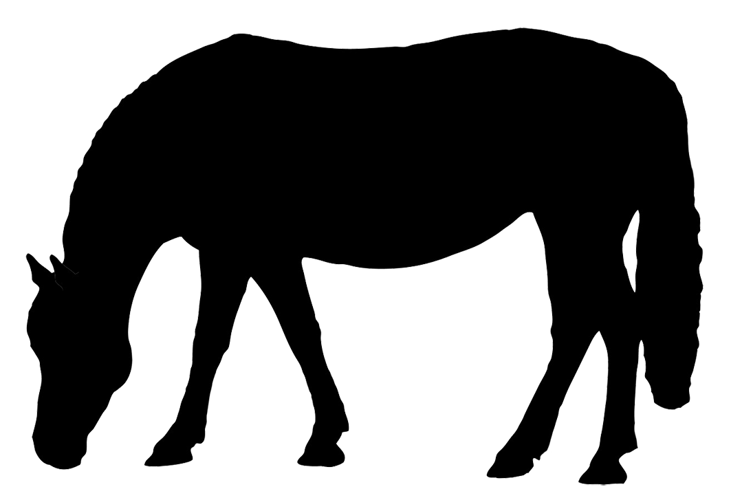 Horse grazing clipart.