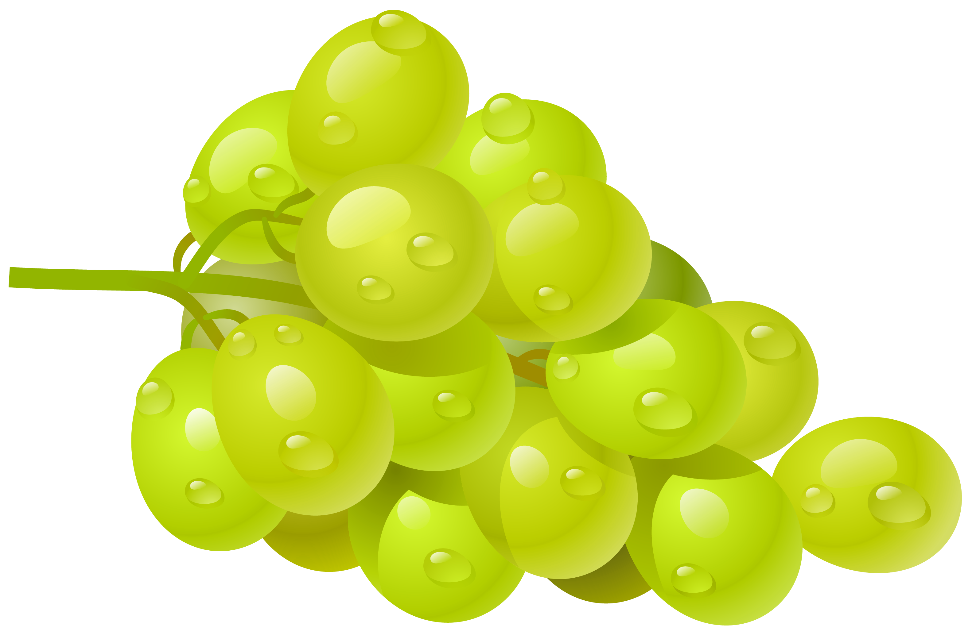 Grapes fruit clipart.