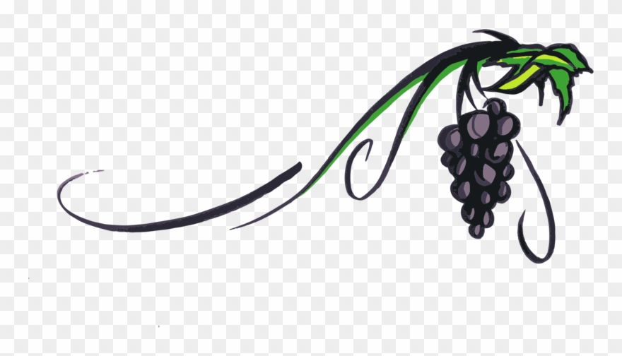 Grapevine Png Transparent Picture.