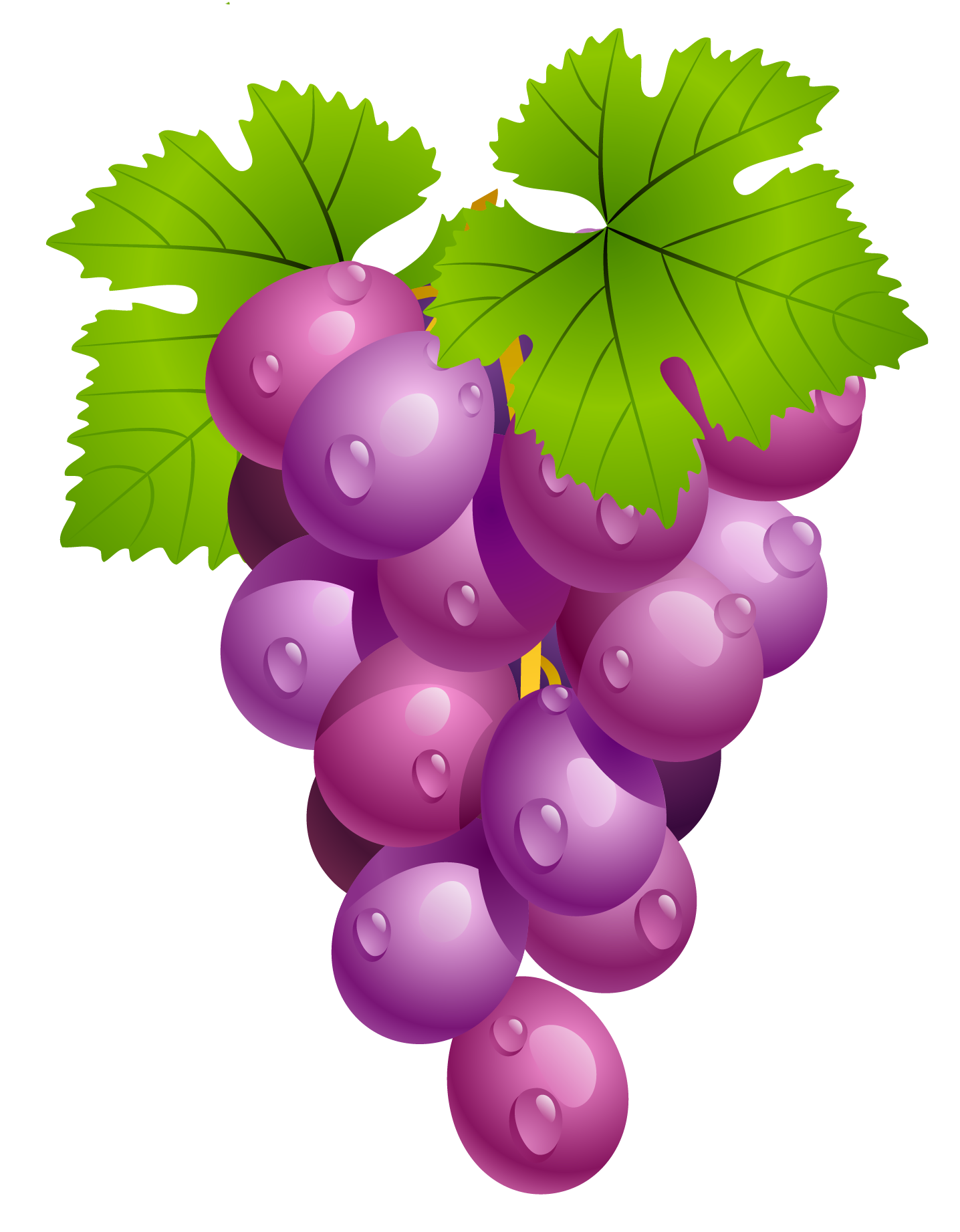 Clipart Grapes & Grapes Clip Art Images.