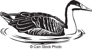 Graylag Clipart and Stock Illustrations. 4 Graylag vector EPS.