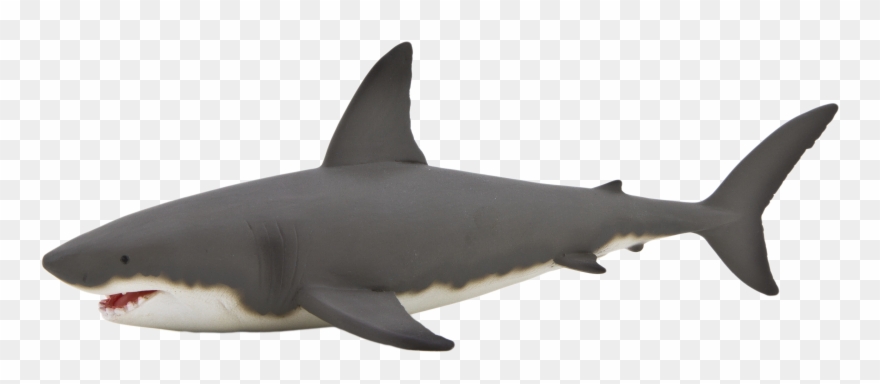 Great White Shark Clipart Gray Shark.