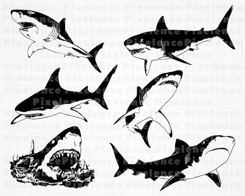 Great White Shark SVG Files, Shark SVG, Shark Clipart, Shark Cut Files For  Silhouette, Shark Files for Cricut, Vector, Dxf, Png, Eps, Design.