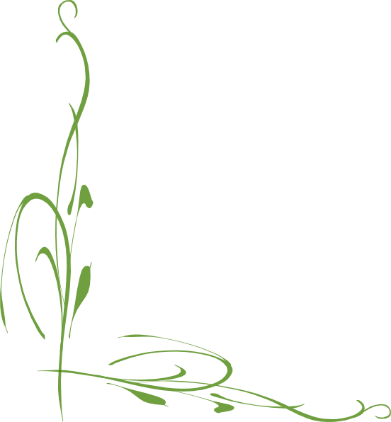 Free Green Vine Cliparts, Download Free Clip Art, Free Clip Art on.