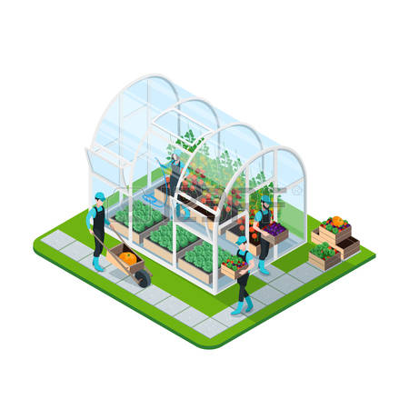 4,970 Greenhouse Stock Vector Illustration And Royalty Free.