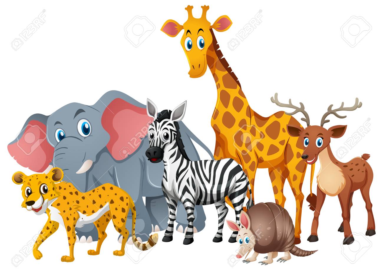 Wild animals together in group illustration.