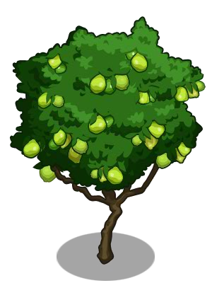 Guava tree clip art.