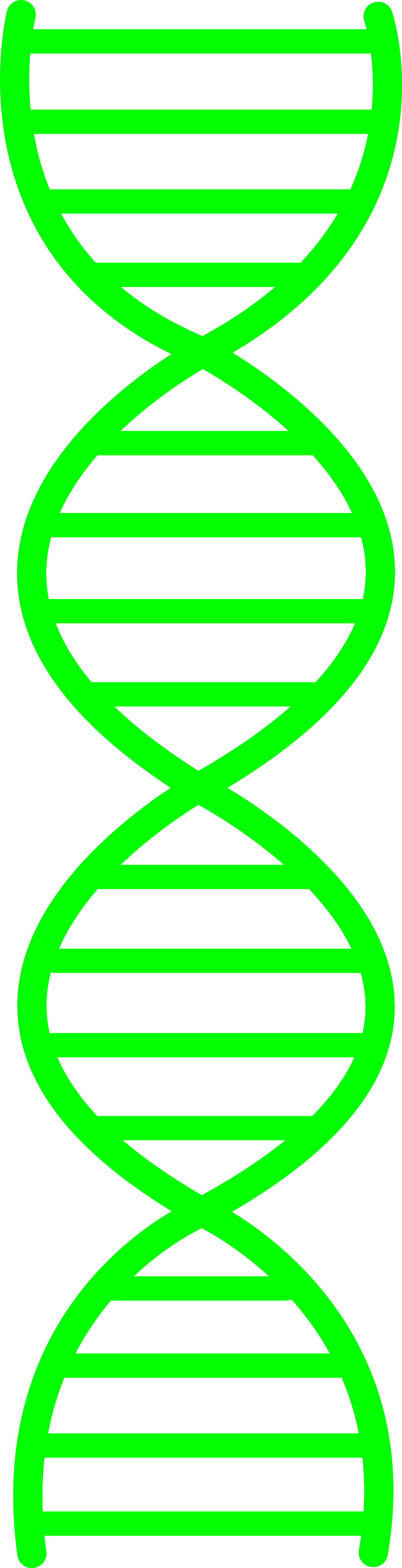 Dna Clipart Png.