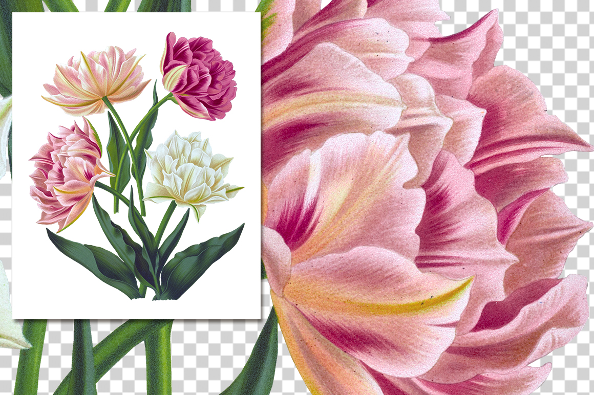 Vintage Flowers: 3671 Double Tulips by Enliven Designs.