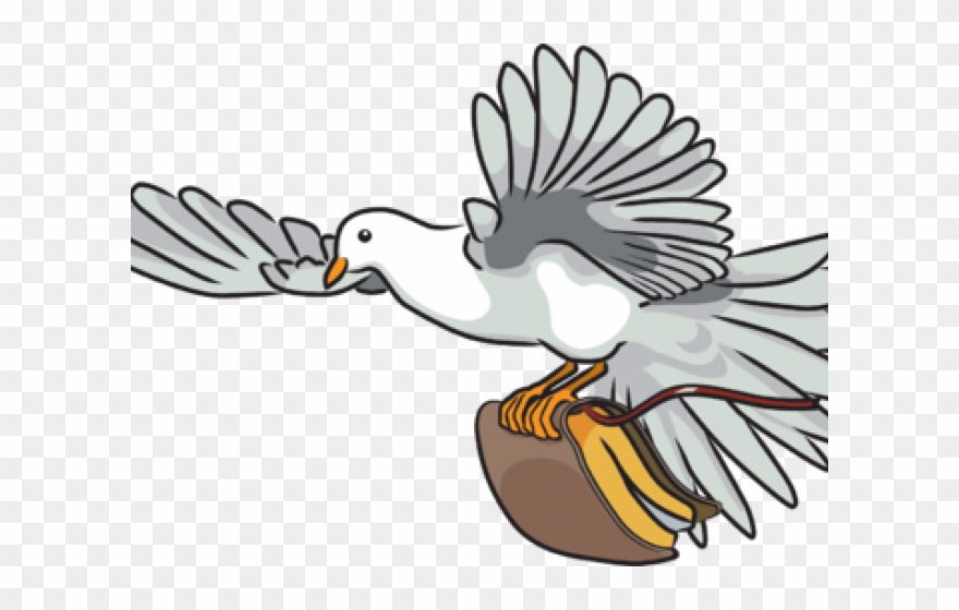 Turtle Dove Clipart Bible.