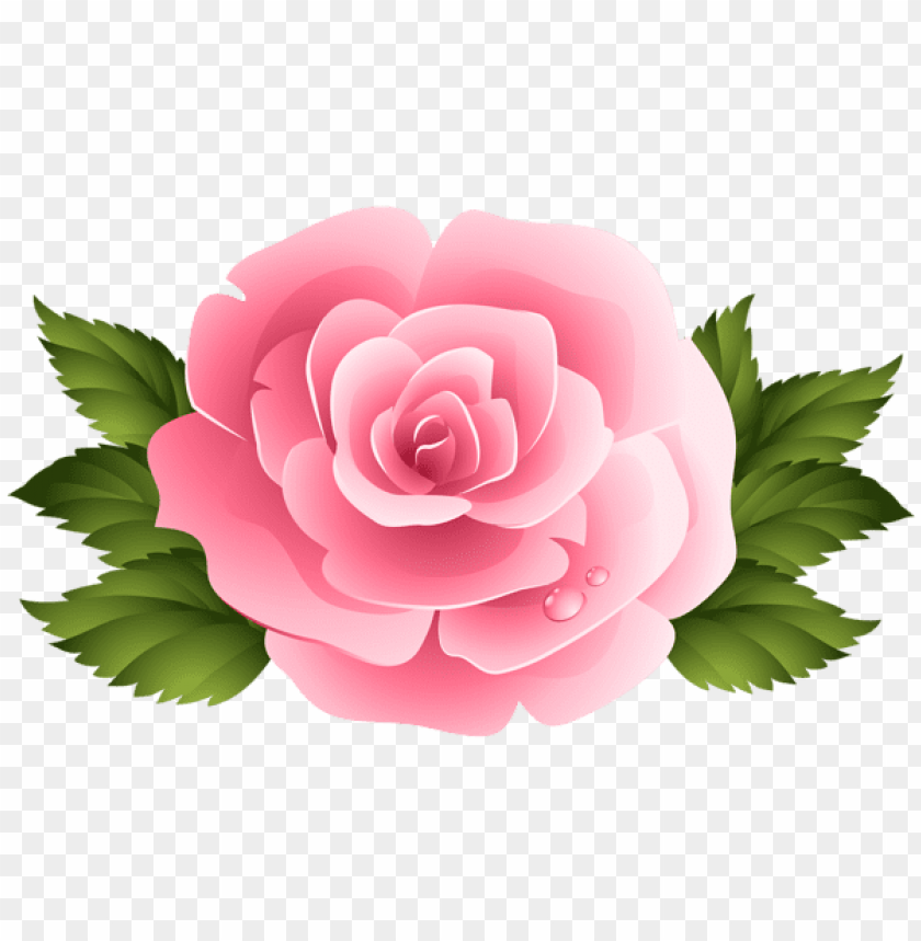 Download pink rose clipart png images background.