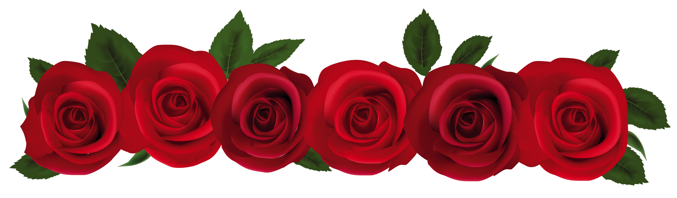 rose border clip art free.