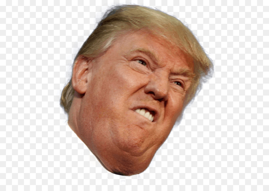 Donald Trump png download.