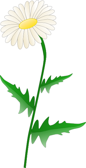 Free Transparent Daisy Cliparts, Download Free Clip Art.