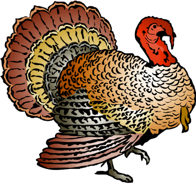 Turkey free thanksgiving clipart.